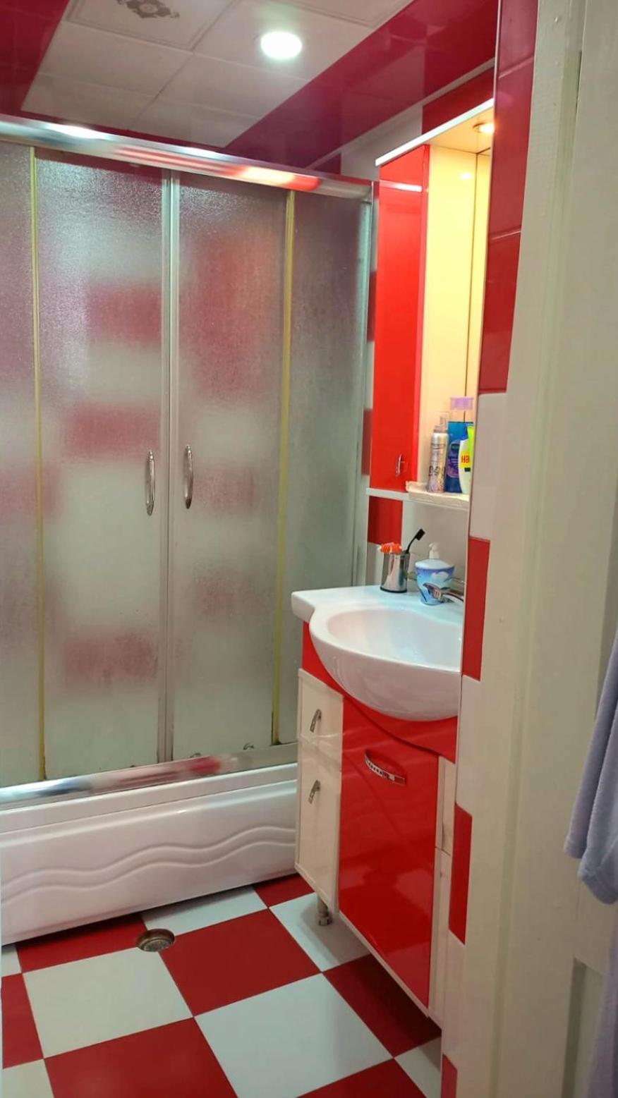 Central Apartment "Ameliya" Bakü Dış mekan fotoğraf