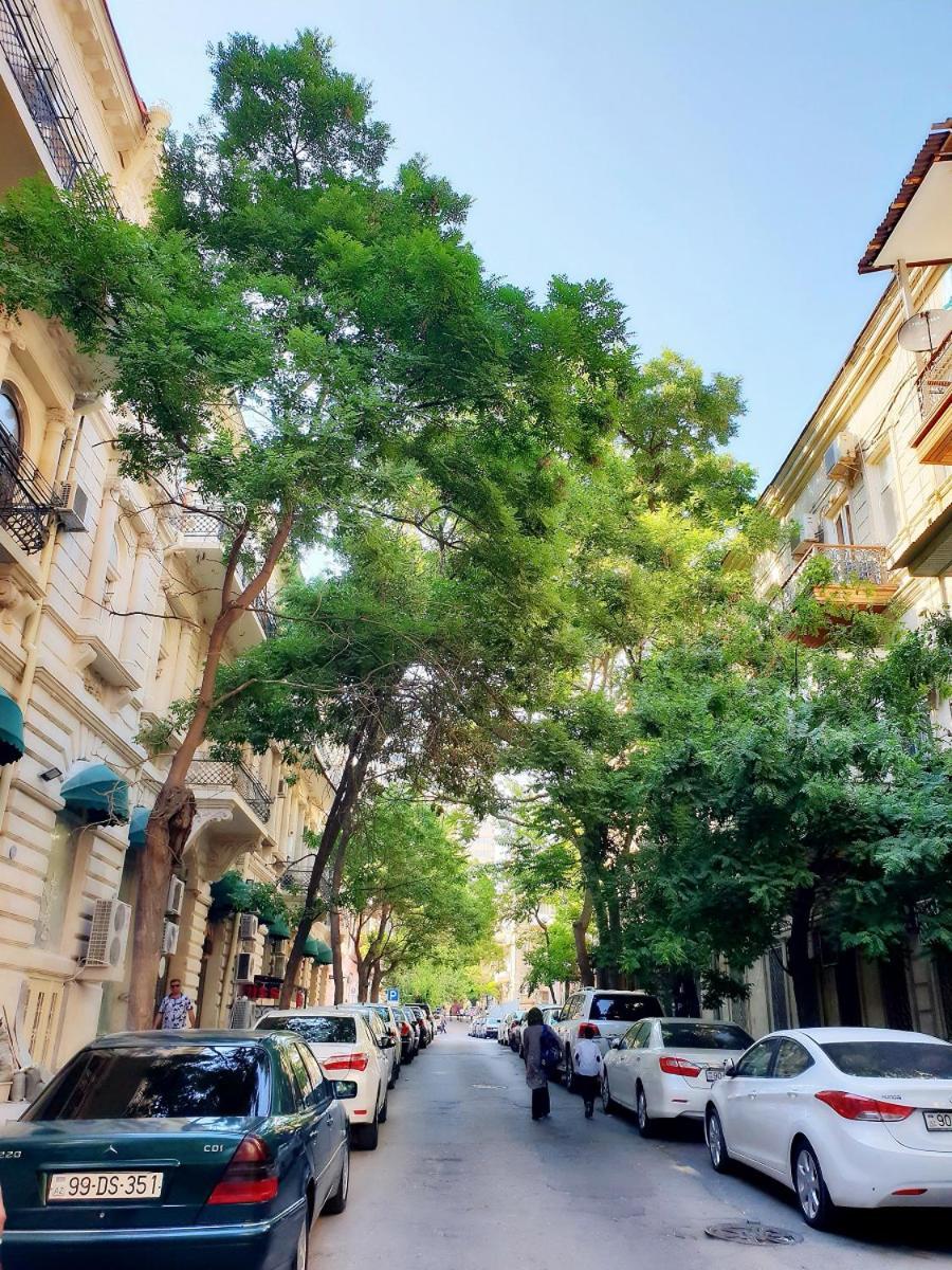 Central Apartment "Ameliya" Bakü Dış mekan fotoğraf